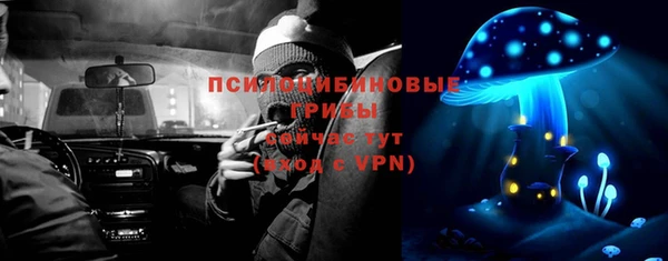 кокс Алексин