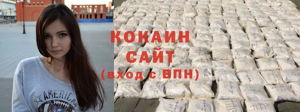 кокс Алексин