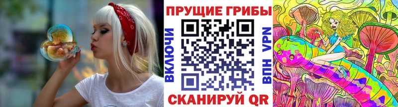 купить закладку нарко площадка Telegram Галлюциногенные грибы GOLDEN TEACHER Мураши